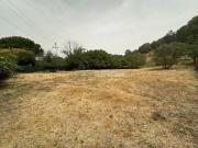 Terreno in vendita a Trevignano Romano RM