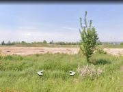 Terreno in vendita a Trevignano TV