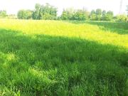 Terreno in vendita a Treviso TV