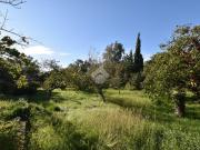 Terreno in vendita a Trieste TS