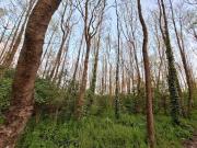 Terreno in vendita a Tuoro sul Trasimeno PG