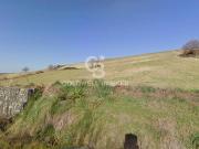 Terreno in vendita a Tuscania VT