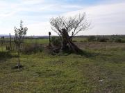 Terreno in vendita a Tuscania VT