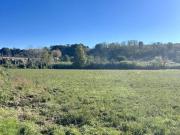 Terreno in vendita a Tuscania VT