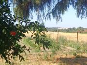 Terreno in vendita a Tuscania VT