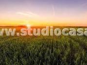 Terreno in vendita a Urgnano BG