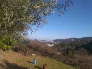 Terreno in vendita a Vado Ligure SV