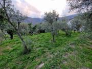 Terreno in vendita a Vado Ligure SV