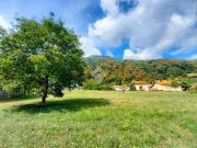 Terreno in vendita a Valbrona CO