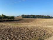 Terreno in vendita a Valeggio sul Mincio VR