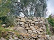 Terreno in vendita a Vallebona IM