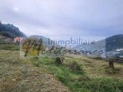 Terreno in vendita a Vallebona IM