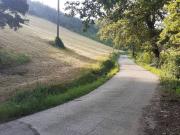 Terreno in vendita a Valsamoggia BO