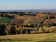 Terreno in vendita a Valsamoggia BO