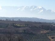 Terreno in vendita a Vasto CH