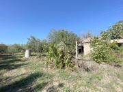 Terreno in vendita a Vasto CH
