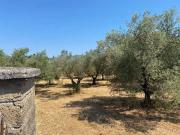 Terreno in vendita a Velletri RM