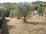 Terreno in vendita a Velletri RM