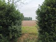 Terreno in vendita a Venezia VE