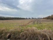 Terreno in vendita a Venezia VE