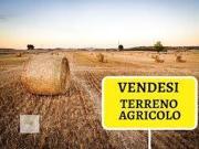 Terreno in vendita a Venezia VE