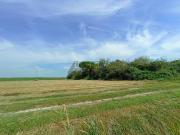 Terreno in vendita a Venezia VE