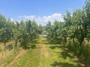 Terreno in vendita a Verona VR