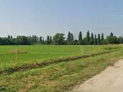 Terreno in vendita a Verona VR