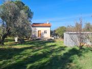 Terreno in vendita a Vetralla VT