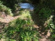 Terreno in vendita a Vicchio FI