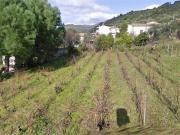 Terreno in vendita a Viddalba SS