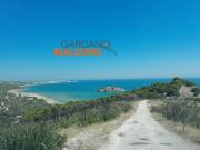 Terreno in vendita a Vieste FG