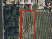 Terreno in vendita a Vigarano Mainarda FE Terreno in vendita a Vigarano Mainarda FE