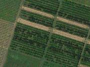 Terreno in vendita a Vignola MO