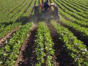 Terreno in vendita a Vigonza PD