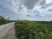 Terreno in vendita a Villa Literno CE