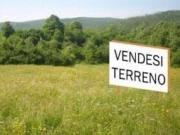 Terreno in vendita a Villafranca Padovana PD