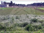 Terreno in vendita a Villapiana CS