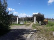 Terreno in vendita a Villasor SU