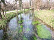 Terreno in vendita a Villaverla VI