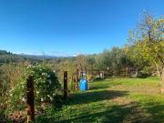 Terreno in vendita a Vinci FI