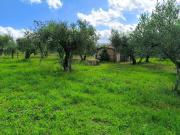Terreno in vendita a Viterbo VT