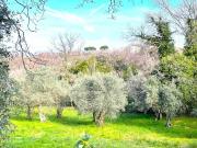 Terreno in vendita a Viterbo VT