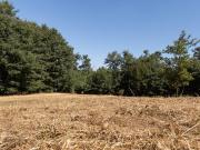 Terreno in vendita a Viterbo VT