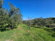 Terreno in vendita a Viterbo VT