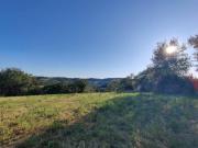 Terreno in vendita a Viterbo VT