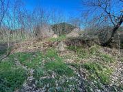 Terreno in vendita a Viterbo VT