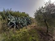 Terreno in vendita a Viterbo VT
