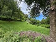 Terreno in vendita a Vittorio Veneto TV