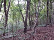 Terreno in vendita a Volpago del Montello